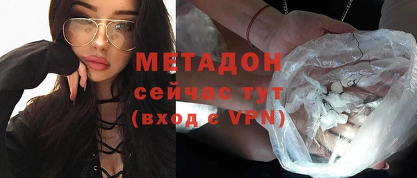 PSILOCYBIN Белокуриха