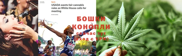 PSILOCYBIN Белокуриха