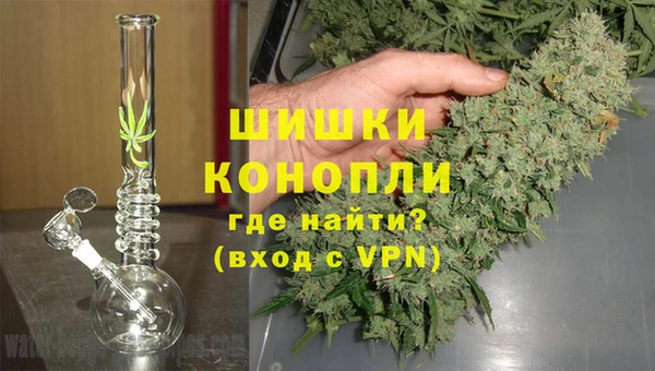 ПСИЛОЦИБИНОВЫЕ ГРИБЫ Белоозёрский