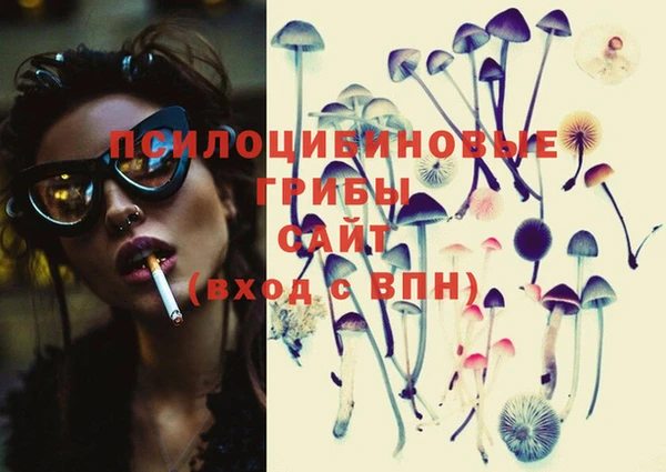PSILOCYBIN Белокуриха