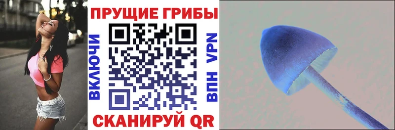 Галлюциногенные грибы ЛСД  Козьмодемьянск 